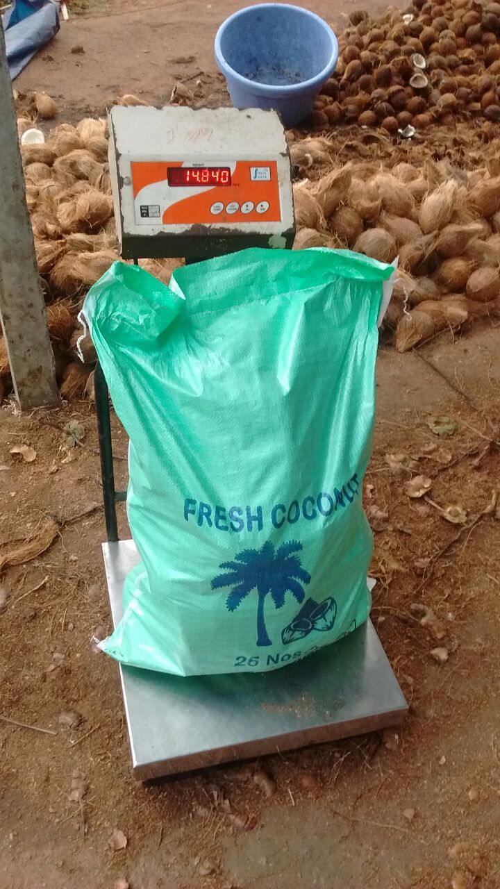 Semi Coconut
