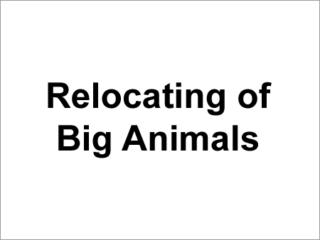 Big Animal Relocation