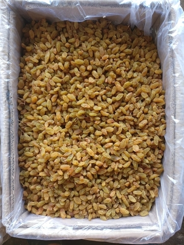 Raisins (Premium Kishmish) - Dried, Sweet & Aromatic Flavor | Enhances Calcium Levels, Supports Skin Radiance, Aids Scalp Health