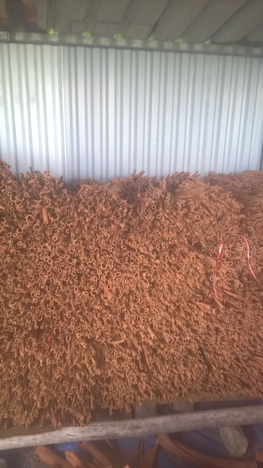 Cinnamon Sticks - Cinnamon Bark 5-15 Cm, Brown | Aromatic Spice, Culinary Use, Natural Remedy, Flavoring Agent