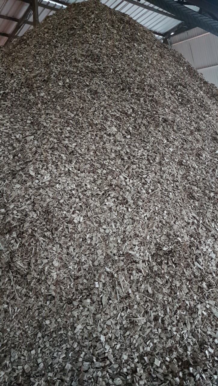 Wood Chips