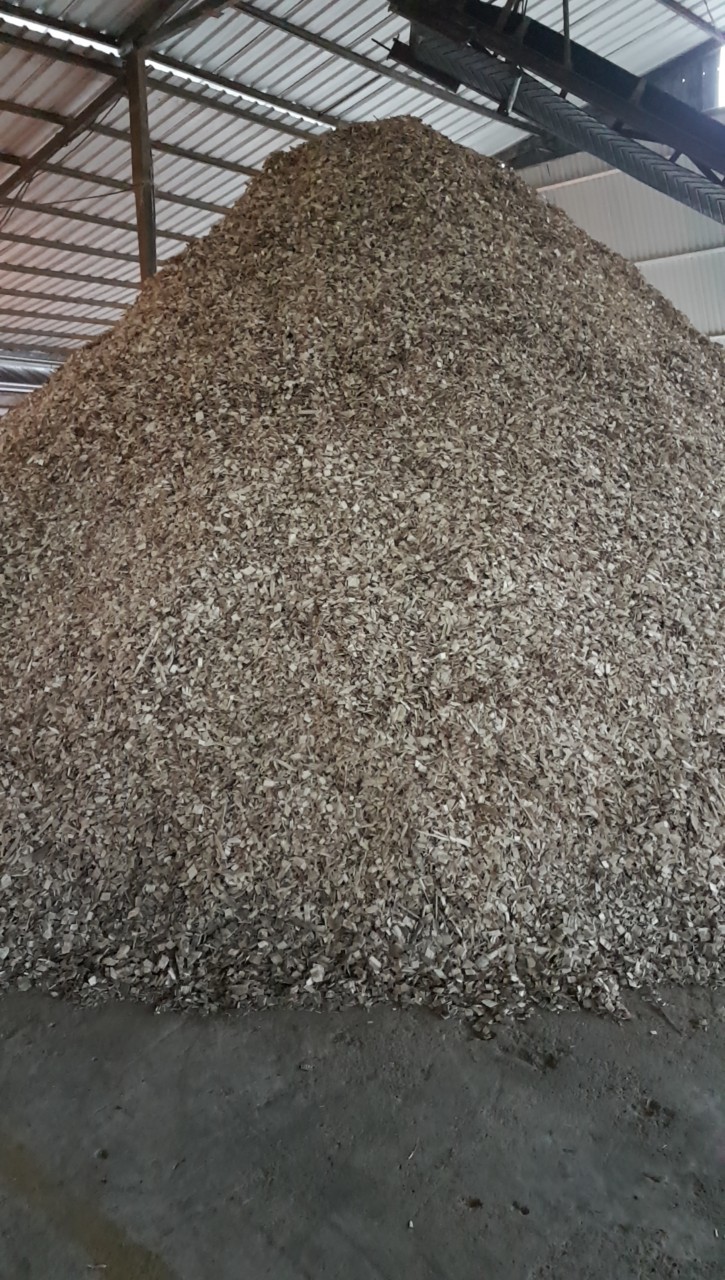 Wood Chips