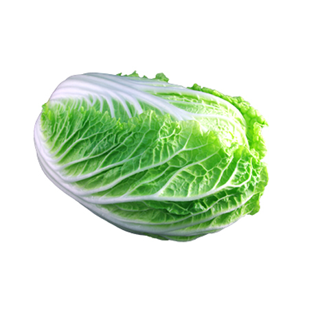 चीनी गोभी