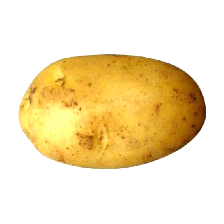 ताजा आलू