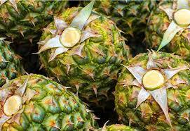 Aromatic Yellow Fresh Pineapple