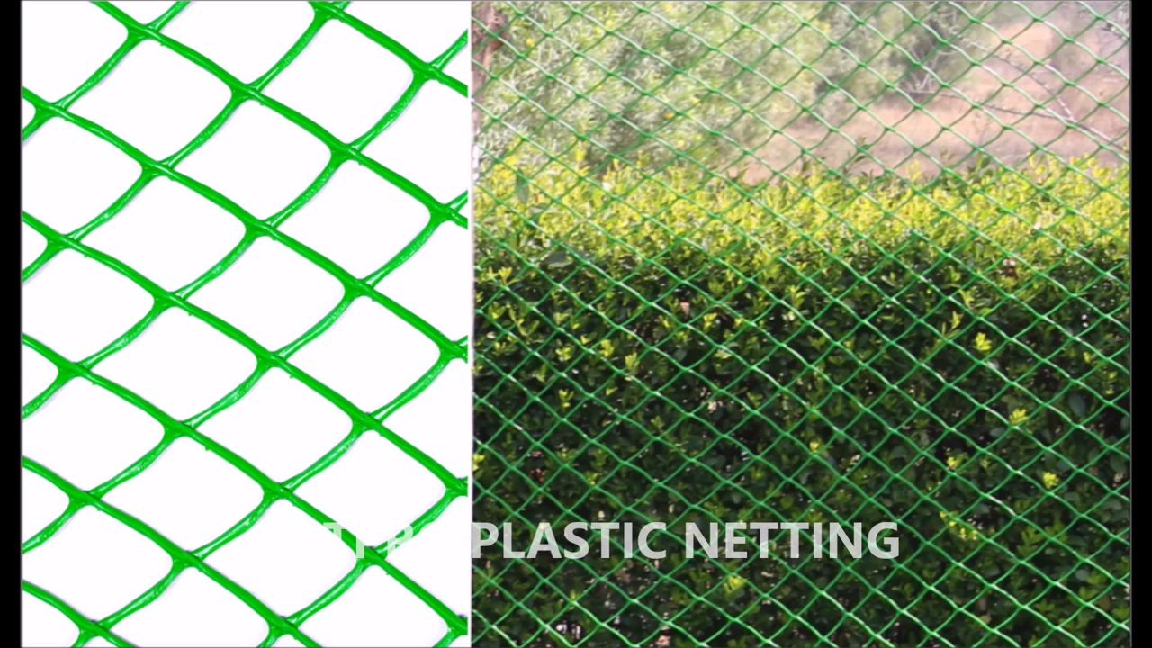 Fencing Net