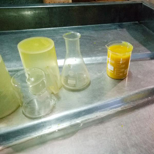 Beverage Fresh Mango Pulp