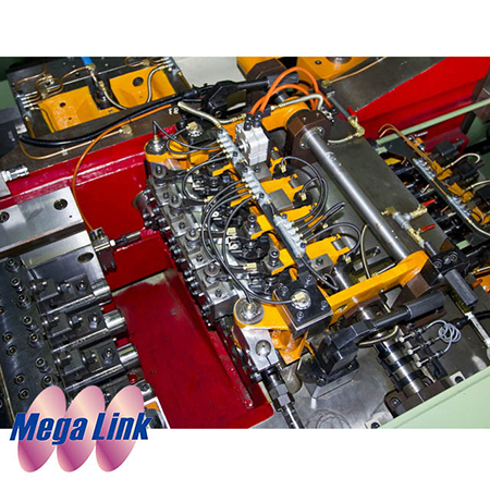 Customized Bolt Former