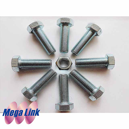 Customized Bolt Former