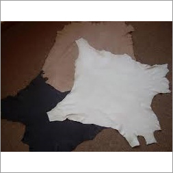 White And Black And Cream Sheep Crust Lining