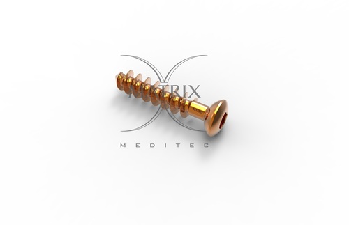 Golden Cancellous Screw 4.0Mm Full Thread.