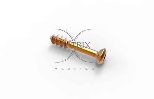 Golden Cancellous Screw 4.0Mm Short Thread