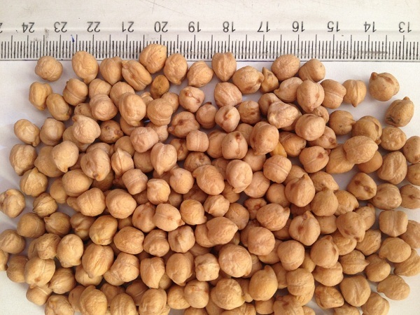 Dried Chickpeas Broken (%): 2%