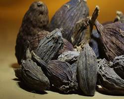 Black Big Cardamom