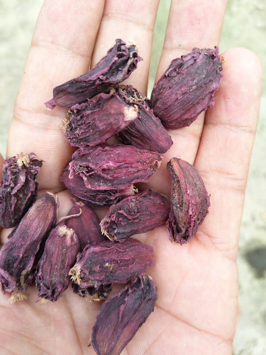 Black Big Cardamom
