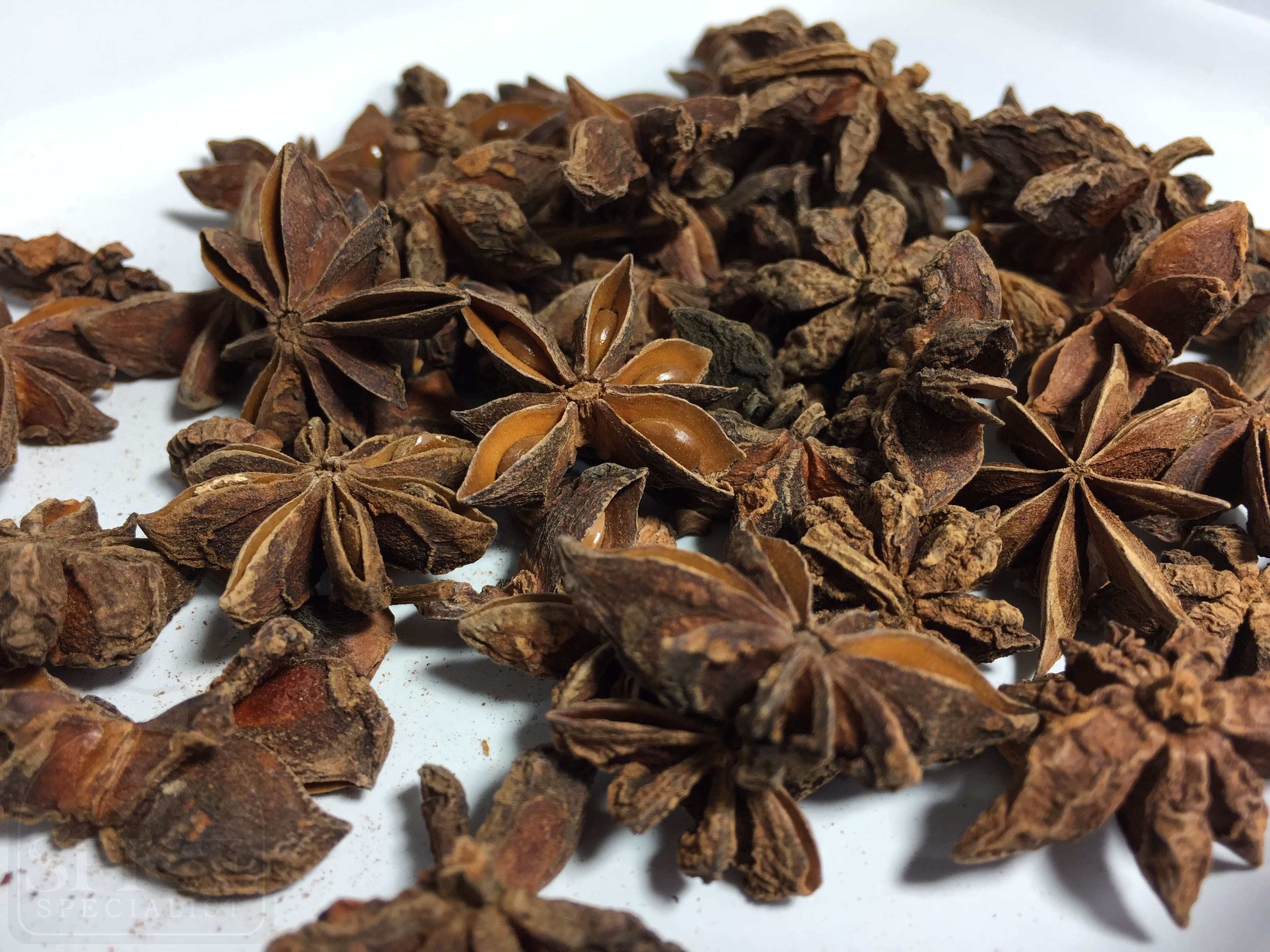 Brown Star Anise
