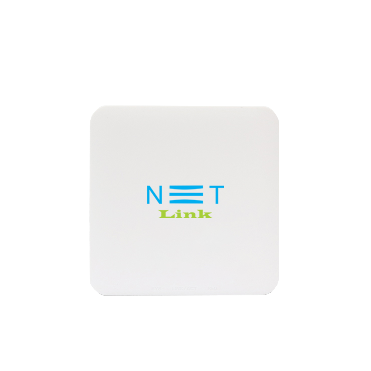 White Netlink N2801 Dual Mode Secure Onu
