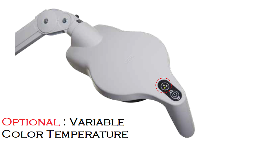 Wall Mounted Exam Light