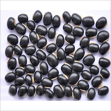 काले कौंच के बीज