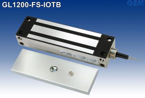 वेदरप्रूफ मैग्नेटिक गेट लॉक : GL1200-FS-IOTB