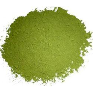 Gymnema Sylvestre Powder - Herbal Powders for Adults | Dry Place Storage, Natural Health Benefits