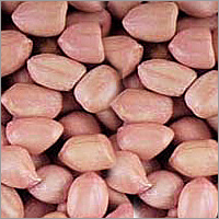 ग्राउंड नट्स