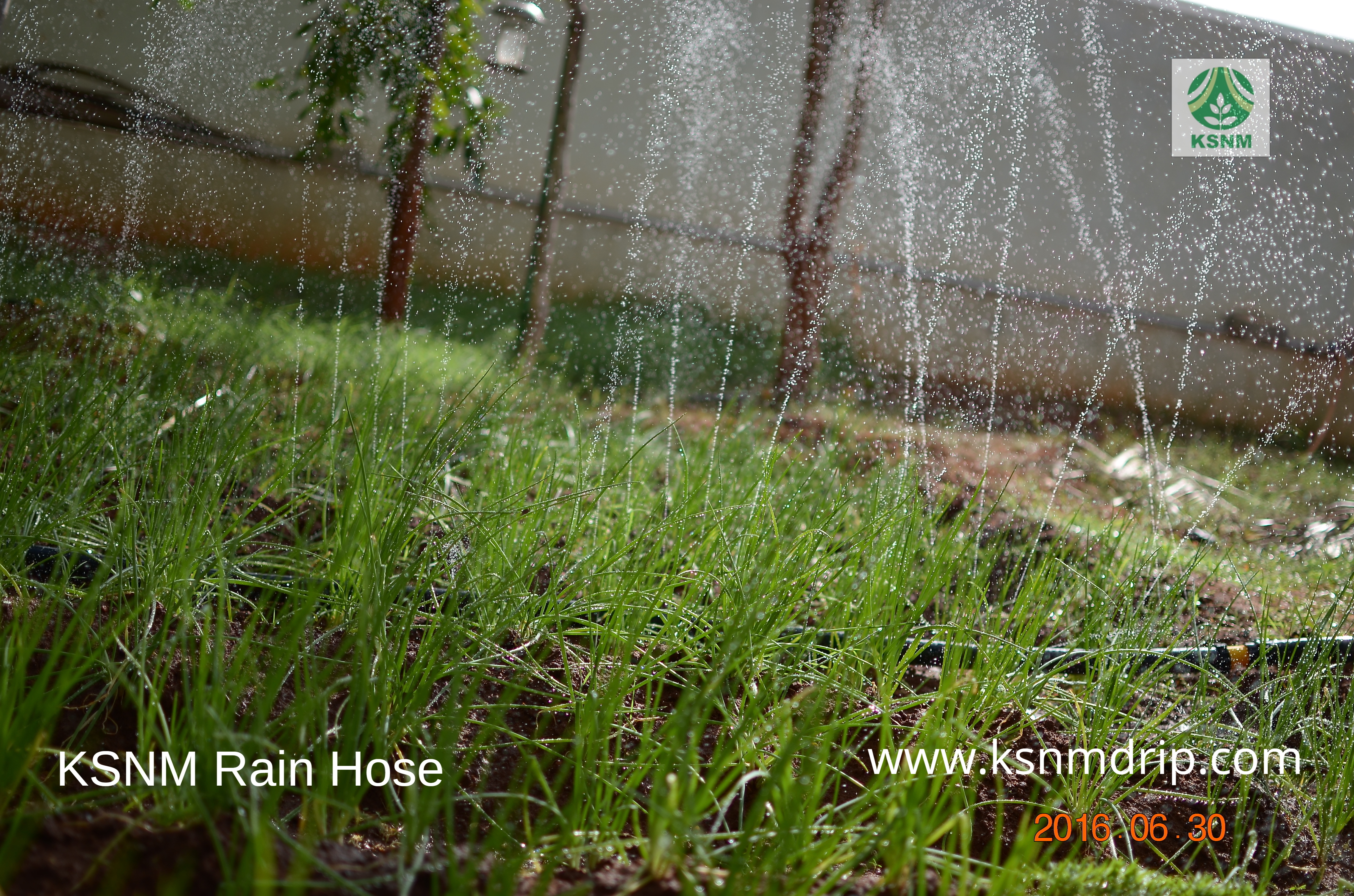 Rain Hose Spray Irrigation