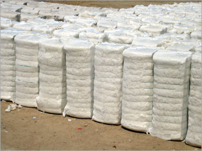 Organic Raw Cotton Bales