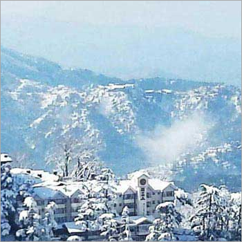 शिमला कॉलिंग टूर