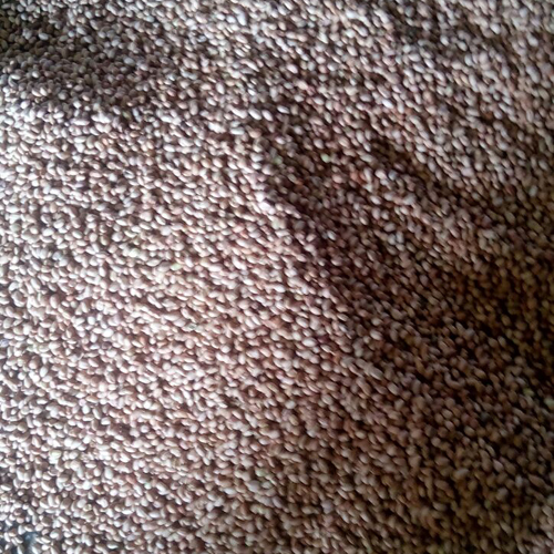 मसूर दाल