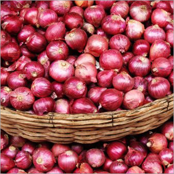 लाल प्याज़