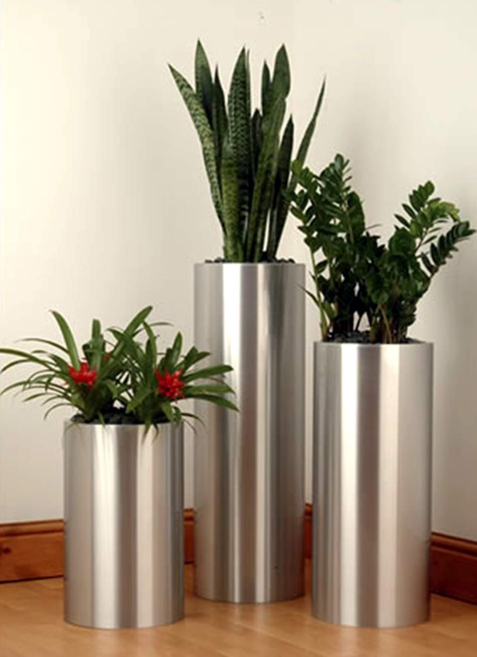 Patina Decor Flower Plants