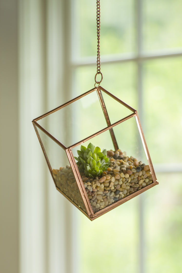 Brass Terrarium