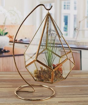 Black Garden Plant Terrarium