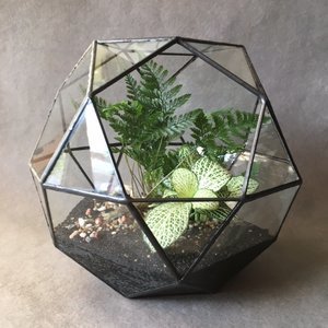 Black Garden Plant Terrarium