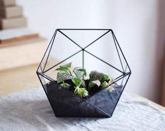 Black Garden Plant Terrarium