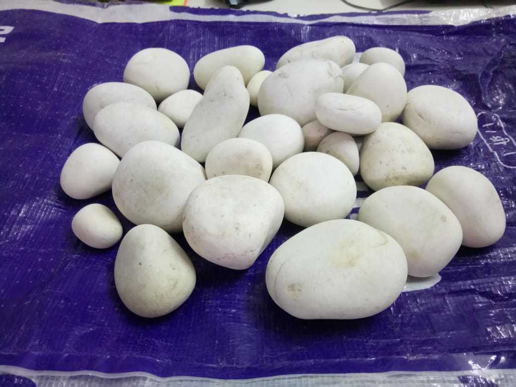 Natural River White Pebbles 12mm To 200mm Tumbled Finish