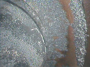 2 Way Articulation Borescope (Tx101-2a62) - Color: Blue