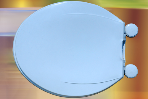 EWC Toilet Seat Cover Sterling