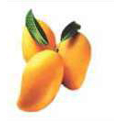 Alphonso Mango Pulp