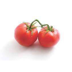 Tomato Paste
