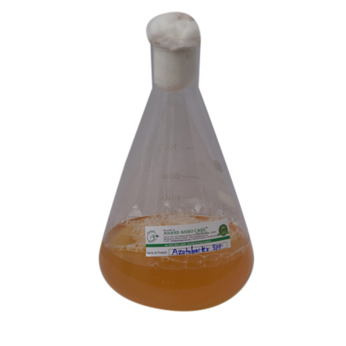 Azotobacter Spp Fertilizers