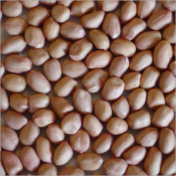 मूंगफली