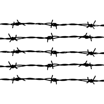 Gi Barbed Wire Application: Commercial Site