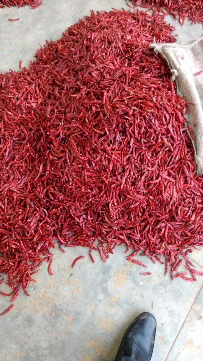 Dry Red Chilly