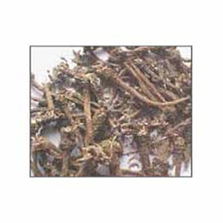 Akarkara Roots - Woody Texture, Irregular Shape | Brown Root Material from India