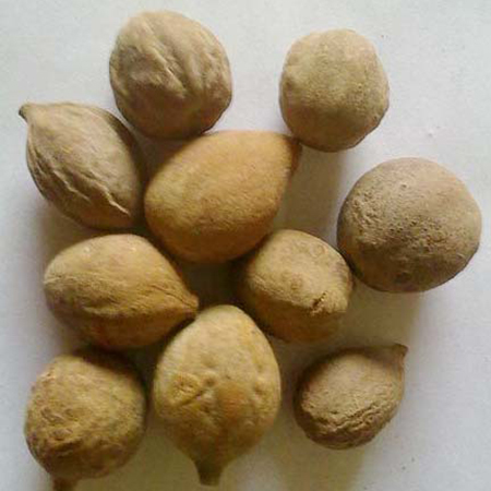 बहेड़ा निकास