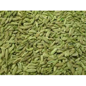 Fennel Seeds - Small Elongated Green Seeds | Aromatic Digestive Aid, Versatile Culinary Uses, Low Moisture, Bulk Packaging