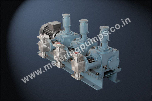 Multi Head Plunger Pumps