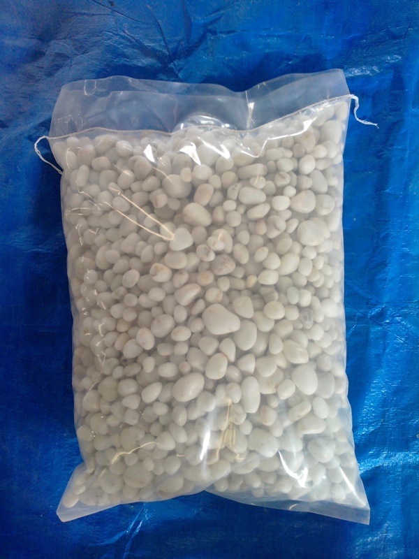 Primium Quality Machine Polished Snow White Glossy Pebbles Stone Lanscaping And Garden Tree Decoration Solid Surface